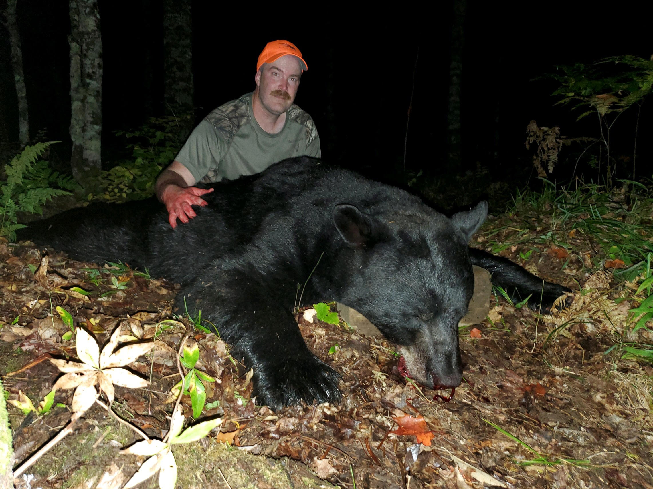 2019 Successful Hunts – Michigan Bear Guides