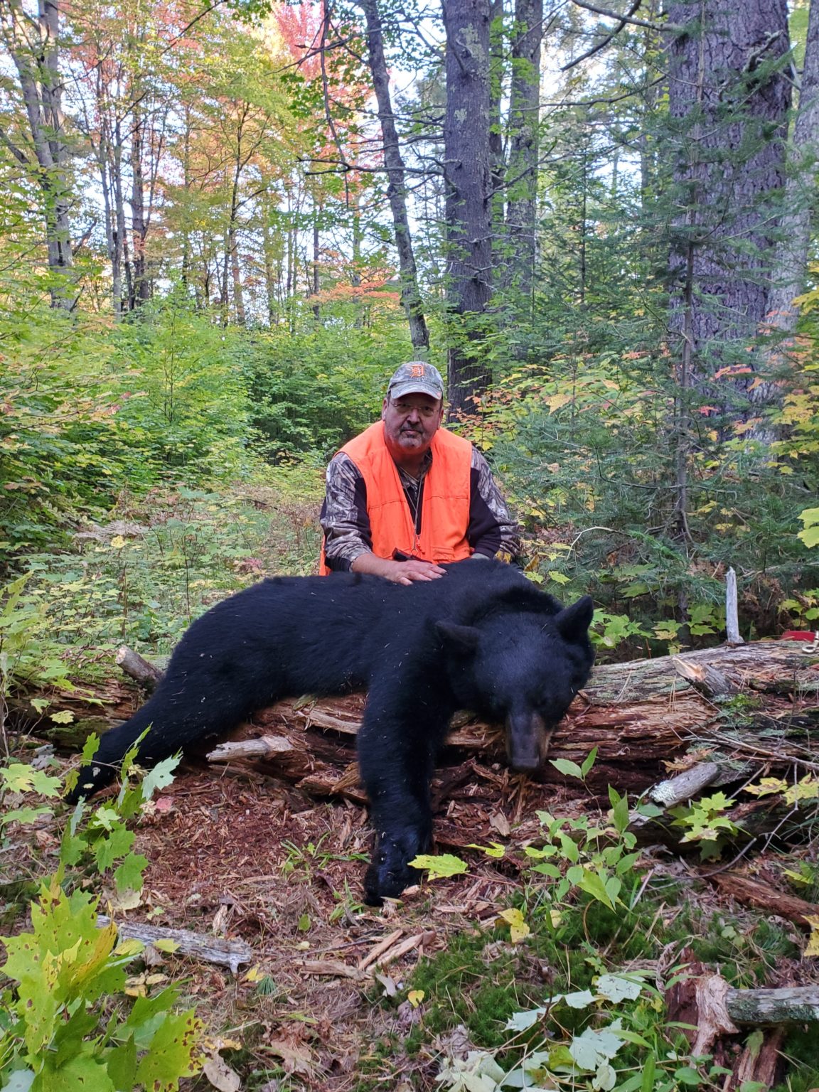 2020 Successful Hunts Michigan Bear Guides