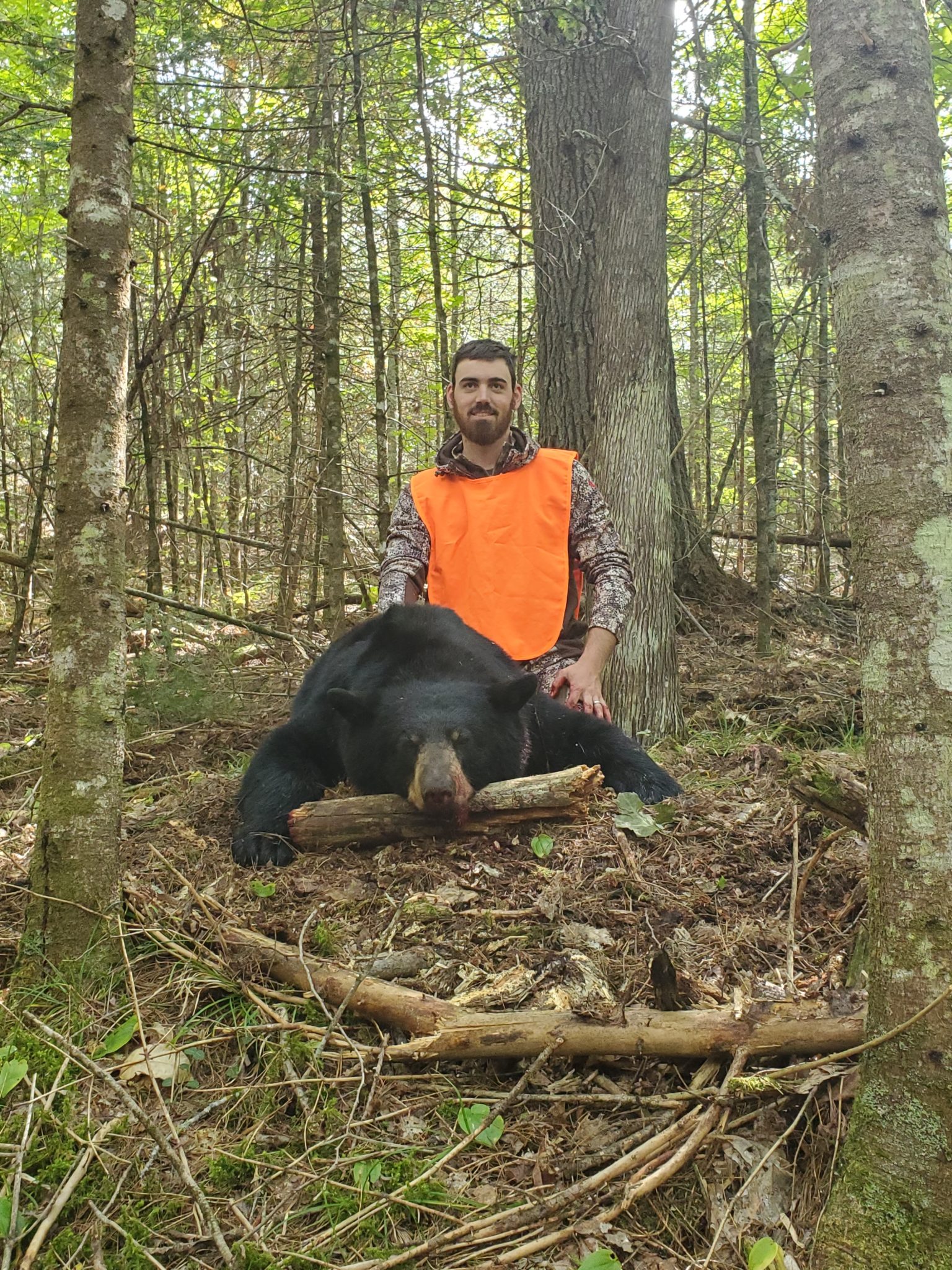 2020 Successful Hunts – Michigan Bear Guides